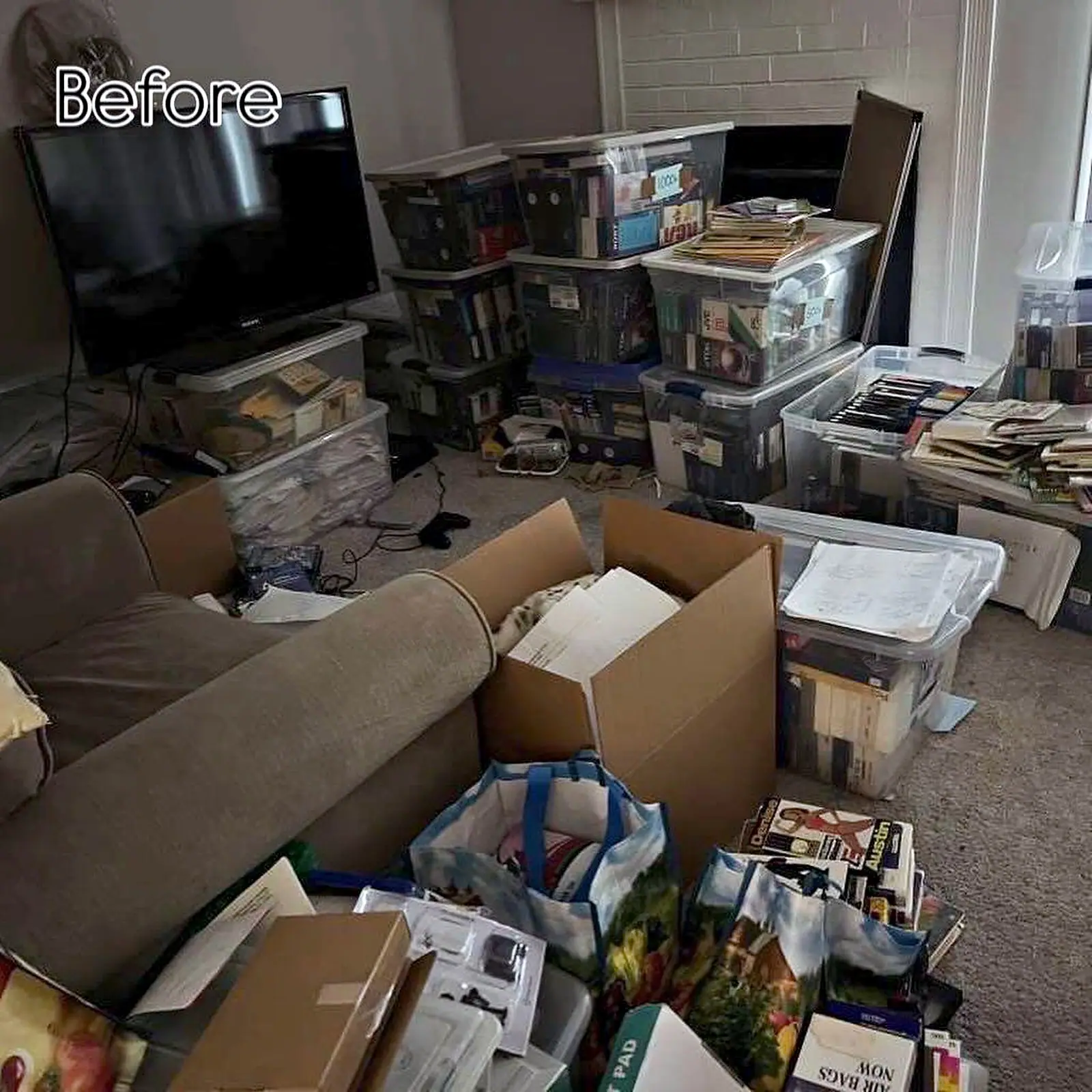 Living room filled with boxes and bins before a cleanout
