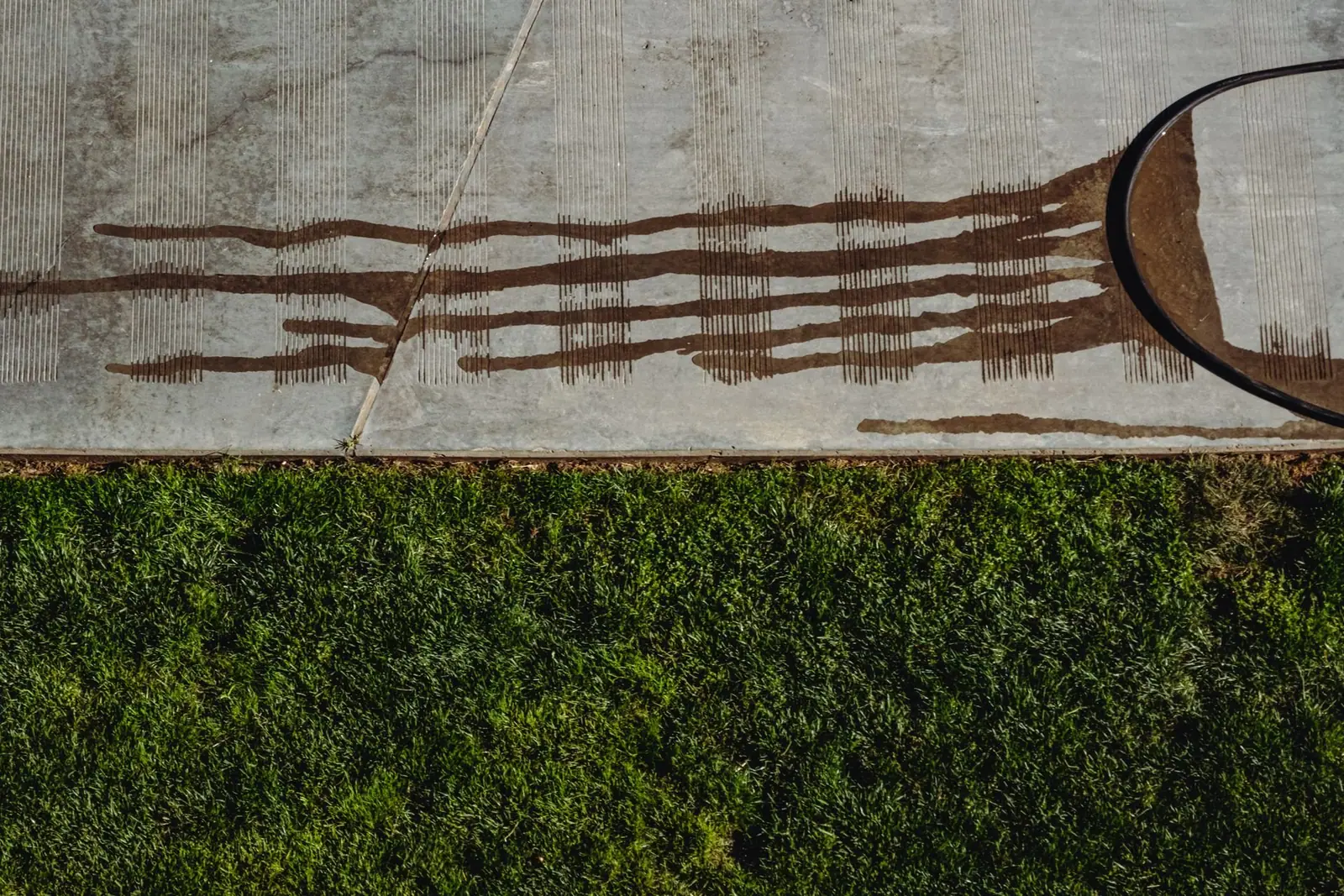 Concrete walkway beside a lawn with a freshly pressure-washed stripe
