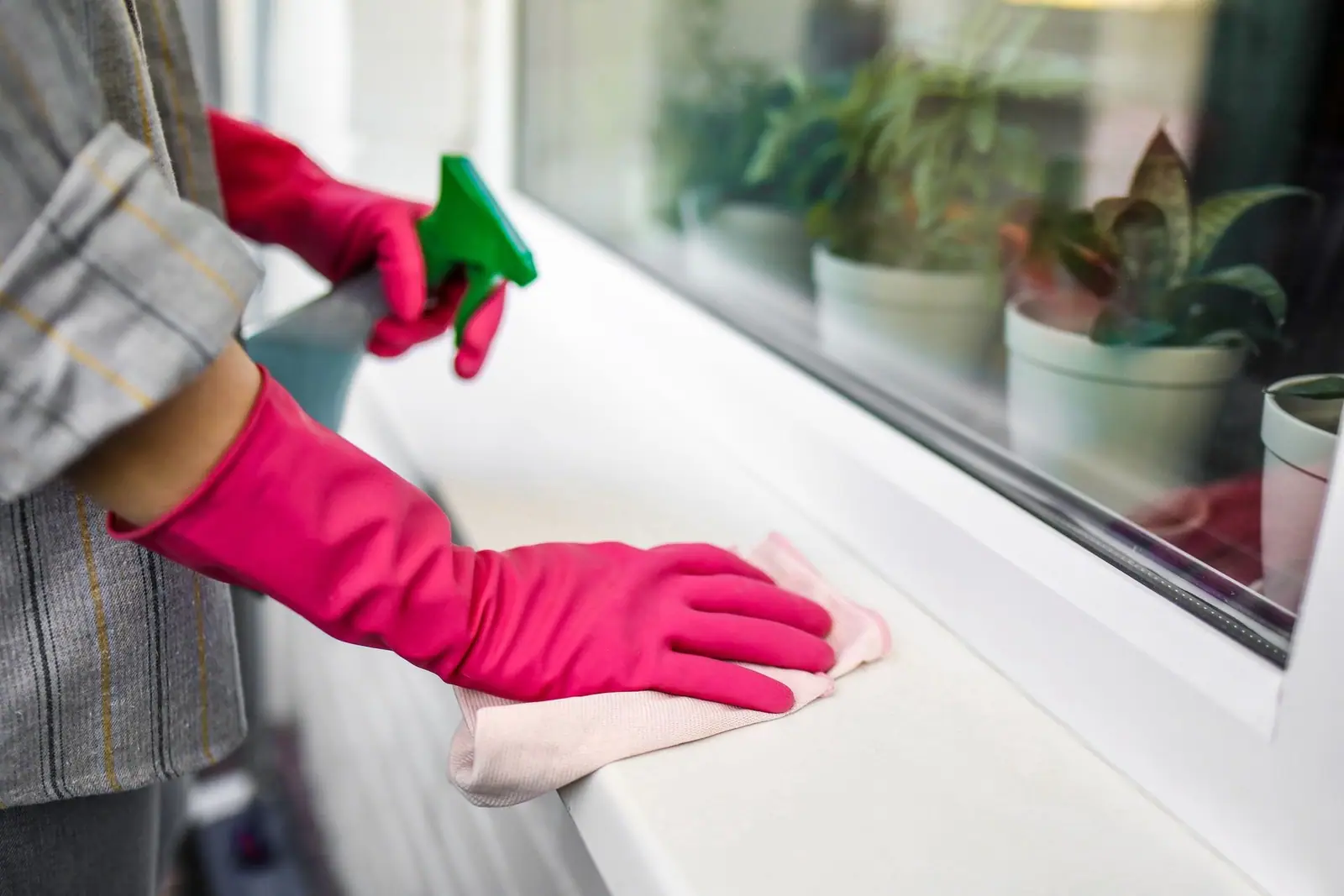 Gloved hands cleaning a window sill with a cloth and a spray bottle